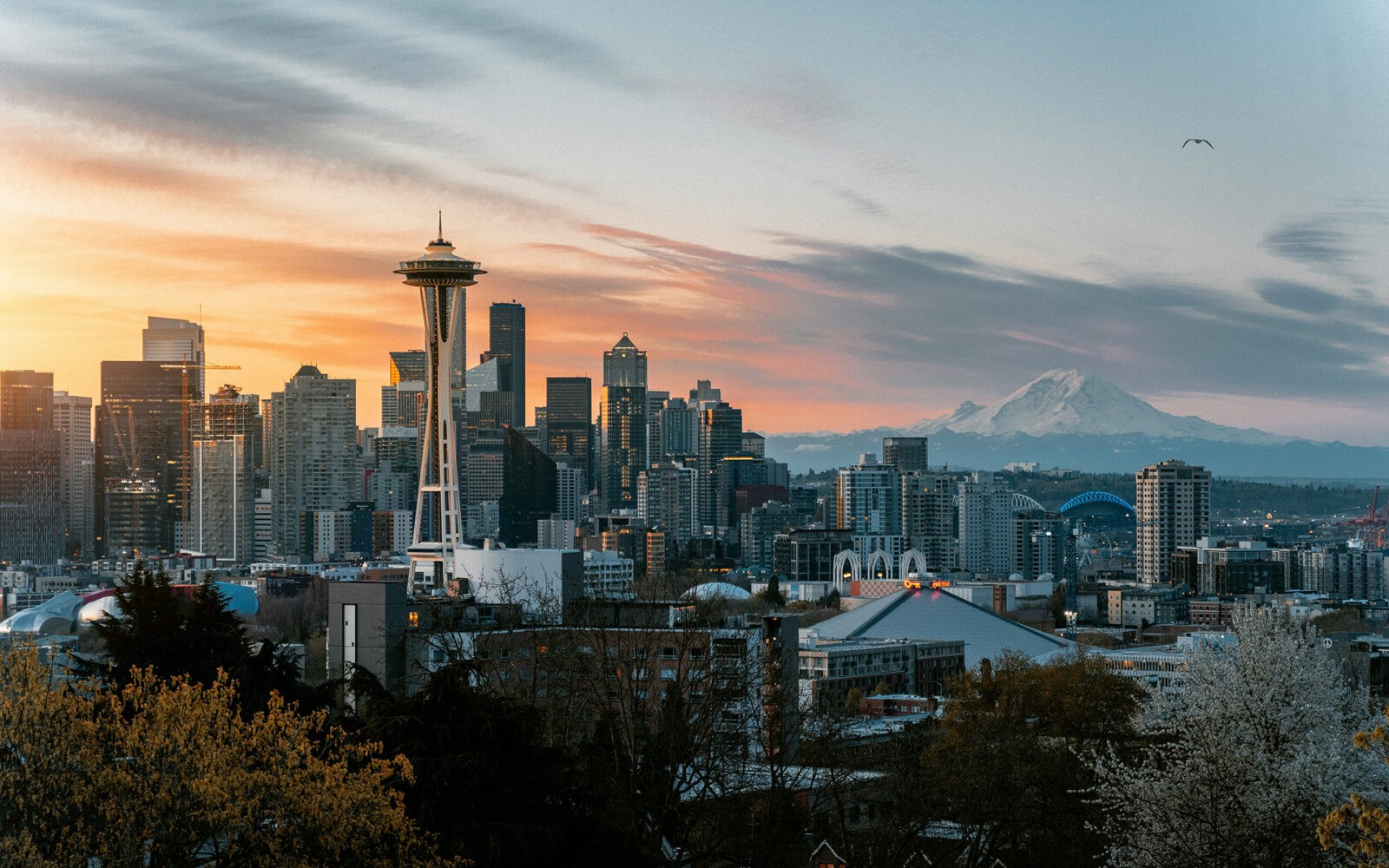 bg-seattle2 CloudMasonry - Washington Based Salesforce Consulting - Seattle Office Landing Page Image - Seattle skyline at sunset with mountain backdrop.