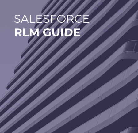 How to select a Salesforce Revenue Lifecycle Management Consultant?